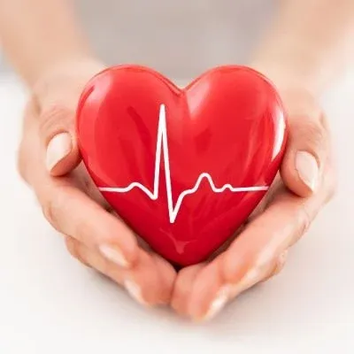 A pair of hands gently cupping a glossy red heart with a white heartbeat (ECG) line running across the center.